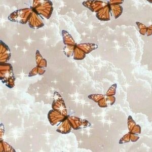 Meet your Posher, Ava